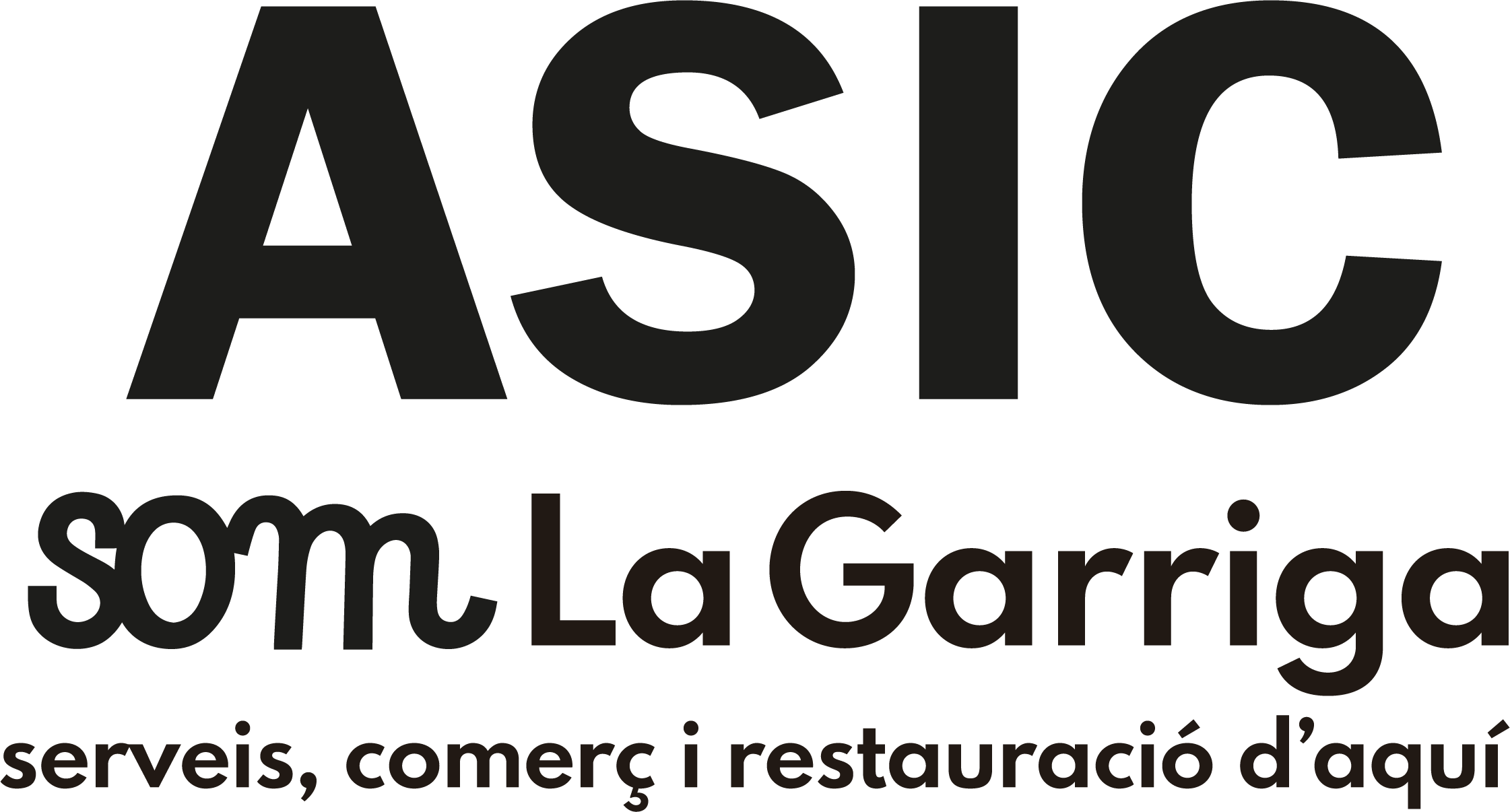 ASIC la Garriga